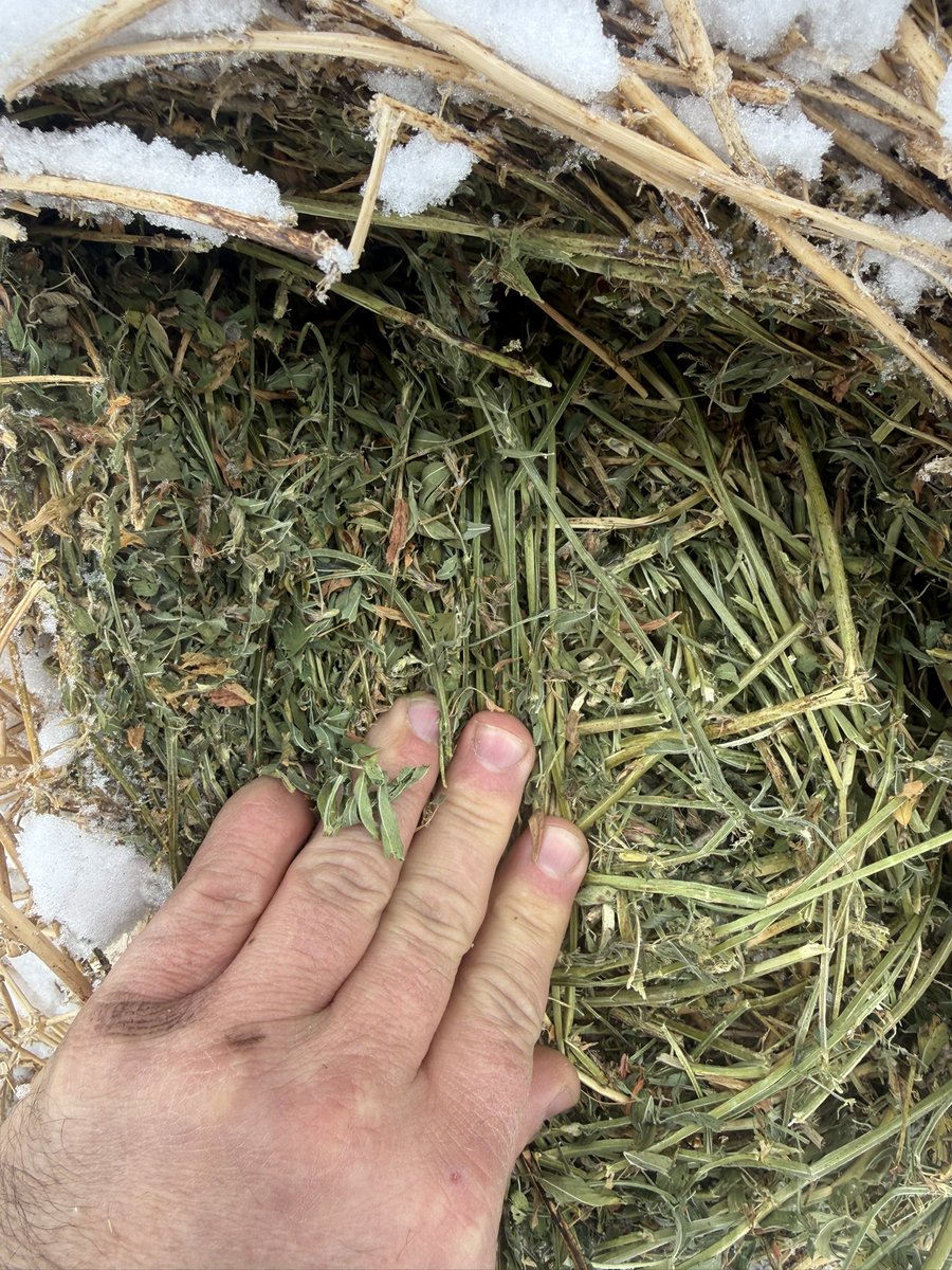 Blake Duchek tweet media