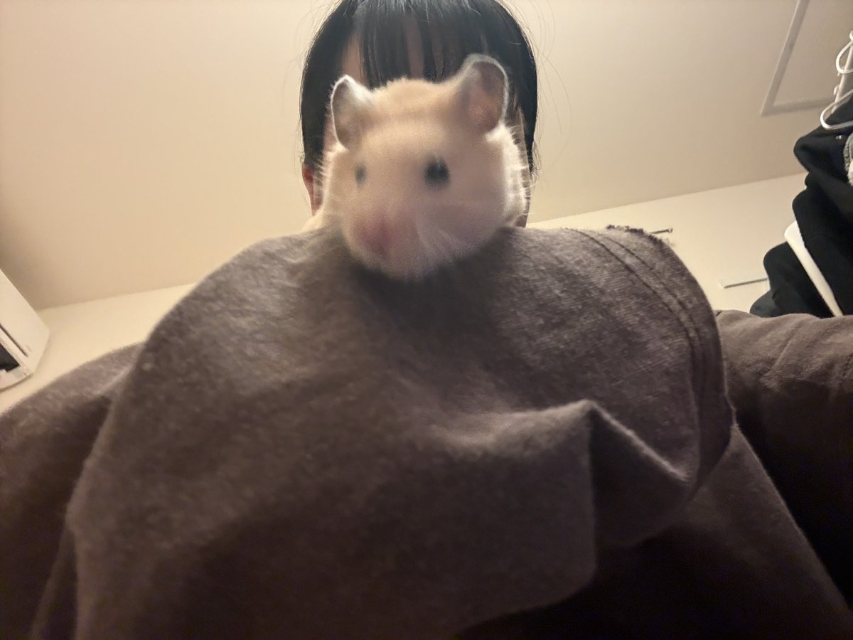 アヨさん今年も産まれました、もう良い歳なのでしっかりした大人の女性になれるように頑張るぞ〜