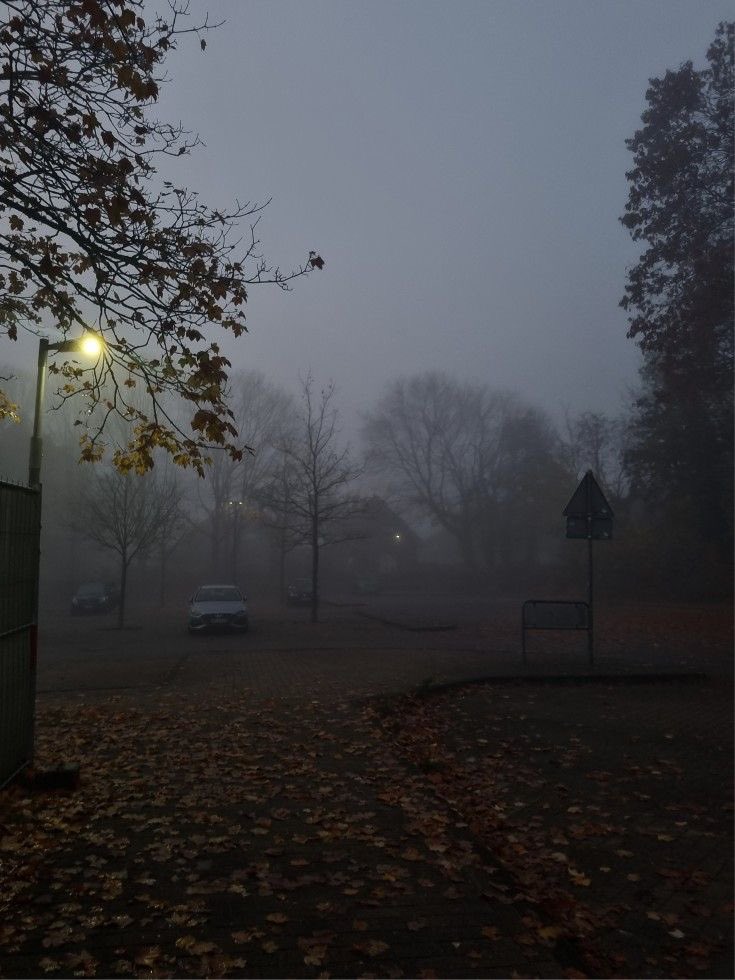 spooky_nature's tweet photo. https://t.co/sRgb95ffvY