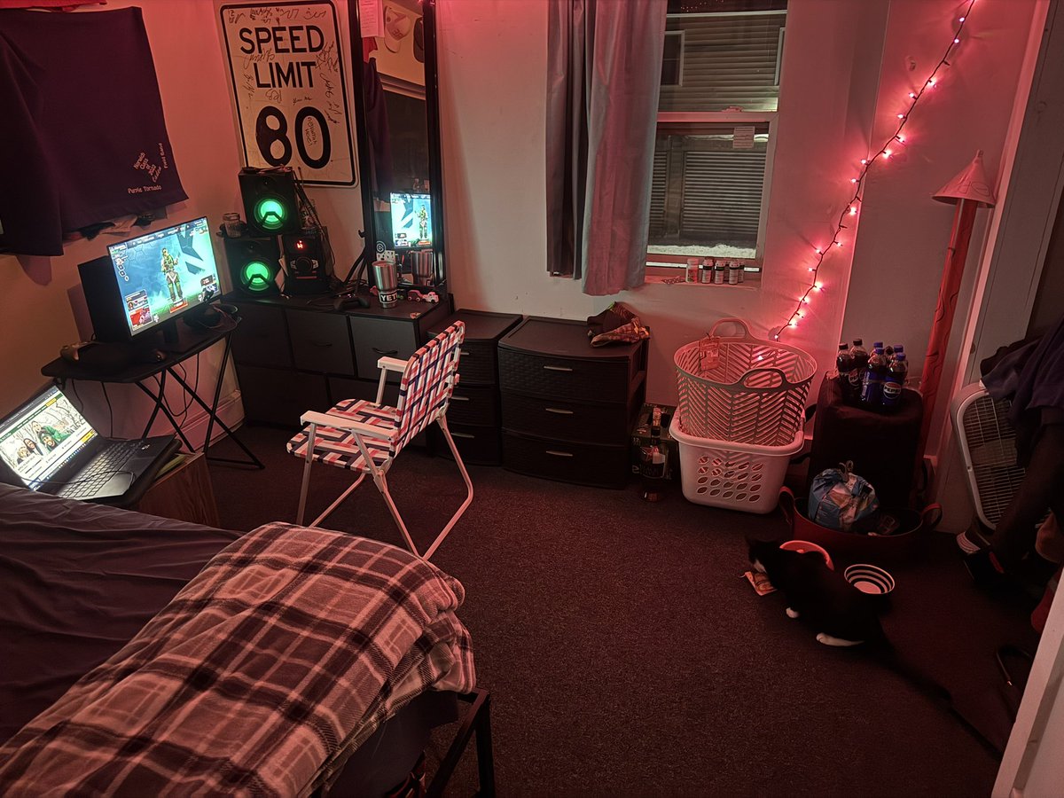 turfguykade's tweet photo. playing apex for a bit at https://t.co/aMlHrQ4XkE
say hi to schlatt the catt https://t.co/vZiGS1VIT5