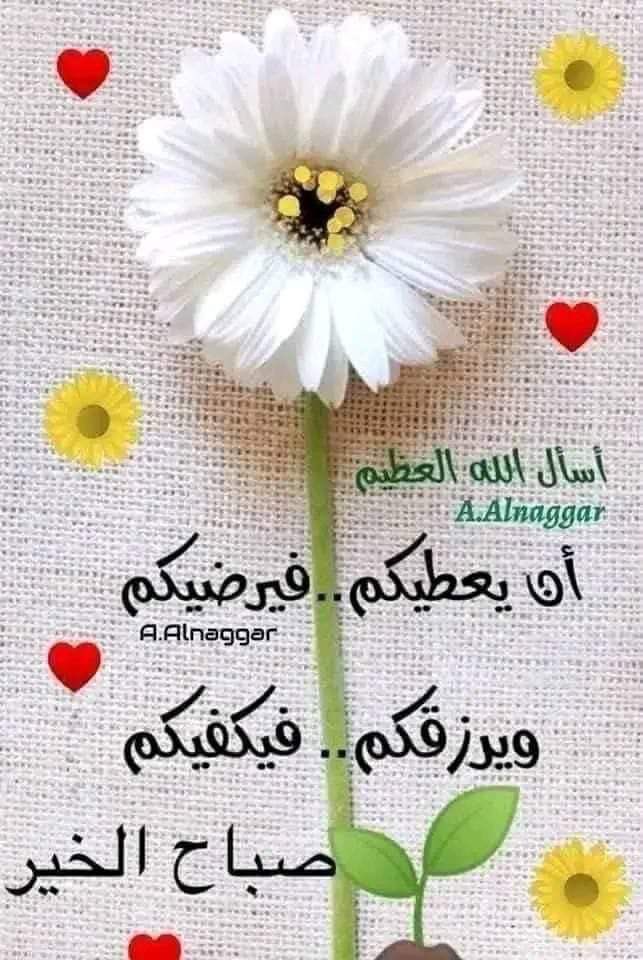 Malaak78's tweet photo. @Q8Freepen https://t.co/4Aap5xjqZ9