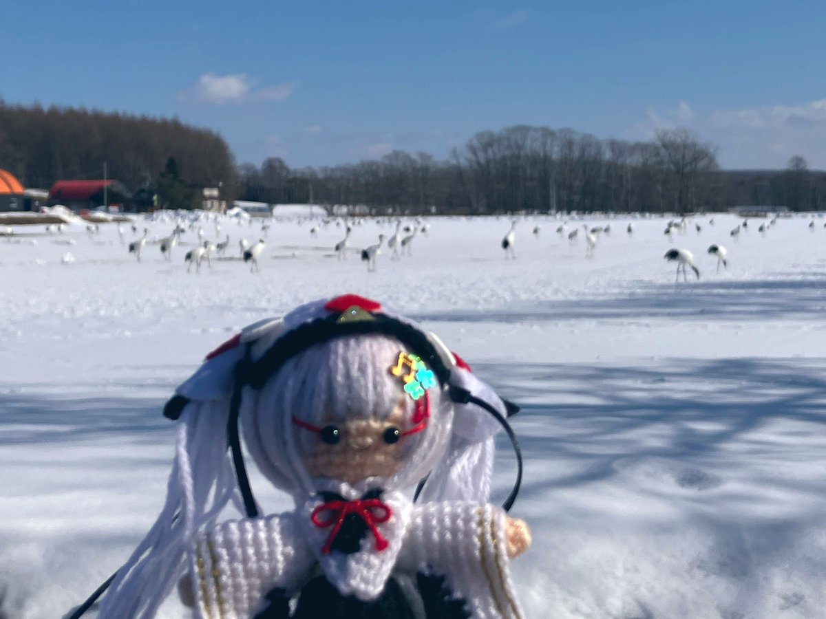 鶴見台でたくさんの丹頂鶴に会えて
満面の笑みのタンチョウちゃん

#みーあみ