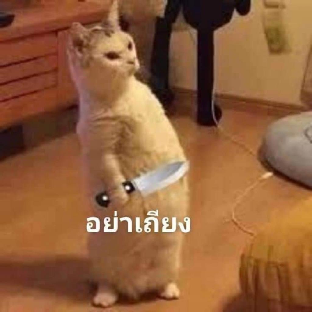 Matel_200x tweet media