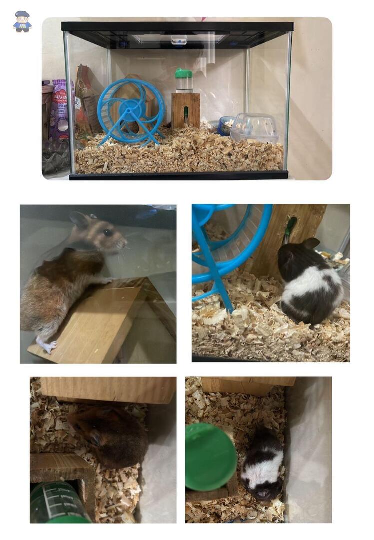 NO DM - KIRIM FESS CEK HIGHLIGHTS tweet media