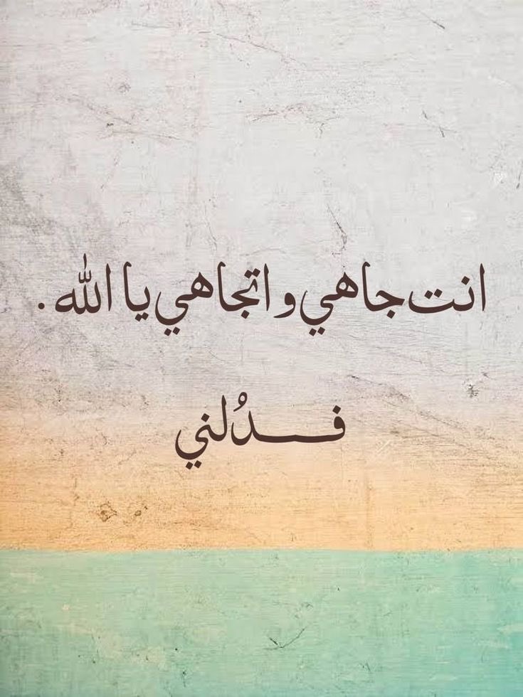 AdelAliBinAli's tweet image. فَدلني🧡