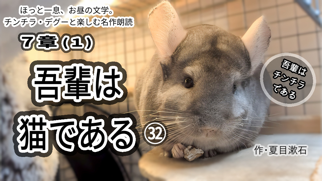 毎日お昼の12時に朗読動画を公開しています
1回約15分～20分
「吾輩は猫である」ってめっちゃおもしろい！
ぜひ見に来てくださいね
ほっと一息、お昼の文学。チンチラ・デグーと一緒に楽しむ「吾輩は猫である」㉜ 
こちらからどうぞ
youtu.be/1SRUMUXeJ5c?si… <a href="/YouTube/">YouTube</a>より