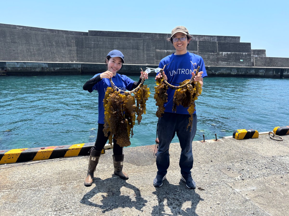 UMITRON | ウミトロン 公式 tweet media