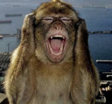 Rosi (@_rosi_nietoo) on Twitter photo 