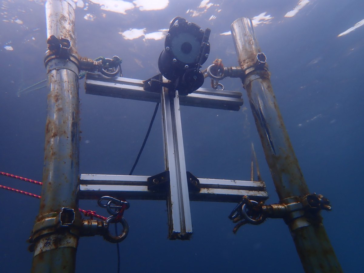 UMITRON | ウミトロン 公式 tweet media