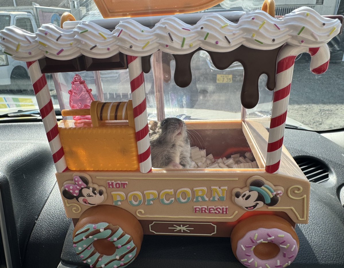 初めての病院🏥
ちょうどいいケースがこれしかなくて、これは初パターンだけどめっちゃ可愛いって言われた笑