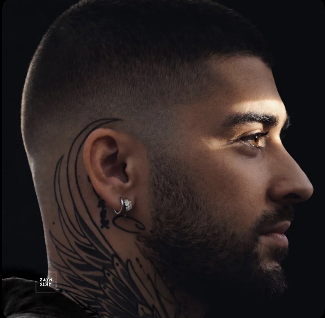 sweatzacky's tweet photo. zayn https://t.co/dVmNrw4AkH