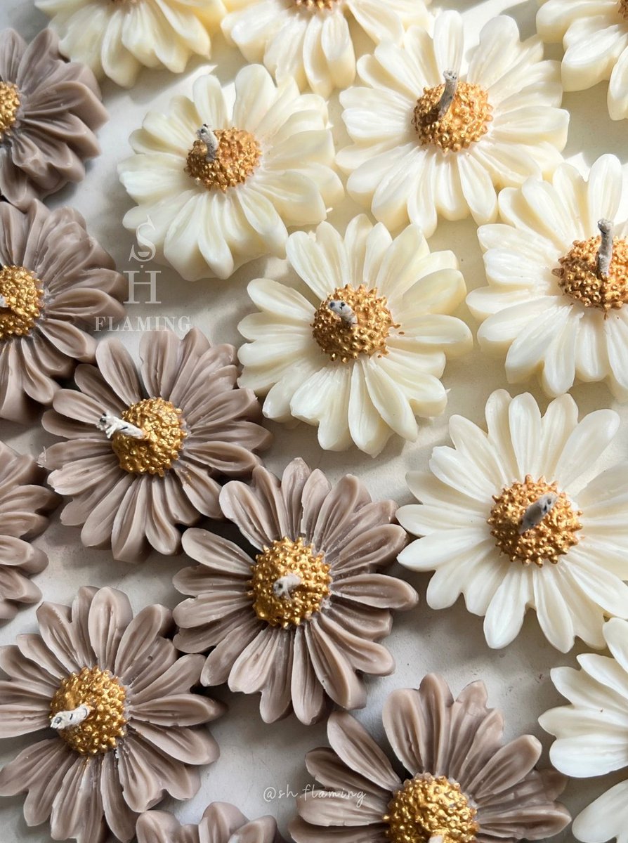 SH_Flaming's tweet photo. ¡Velitas personalizadas para un momento inolvidable! 🌼✨

📲 449 387 6000

#MargaritasEnVela #VelasPersonalizadas #AromaYColor #DecoraciónConEstilo #AmbienteFresco https://t.co/3CVHXQdhiD