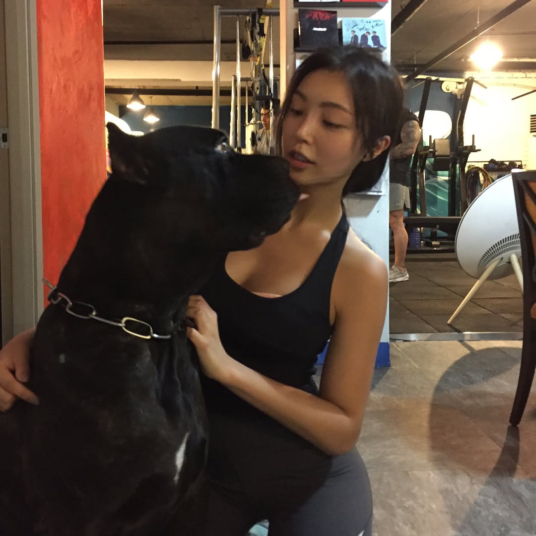 EmilyJuliet_12's tweet photo. This is my new workout buddy—his name is Tank https://t.co/RGQc1rwsFd