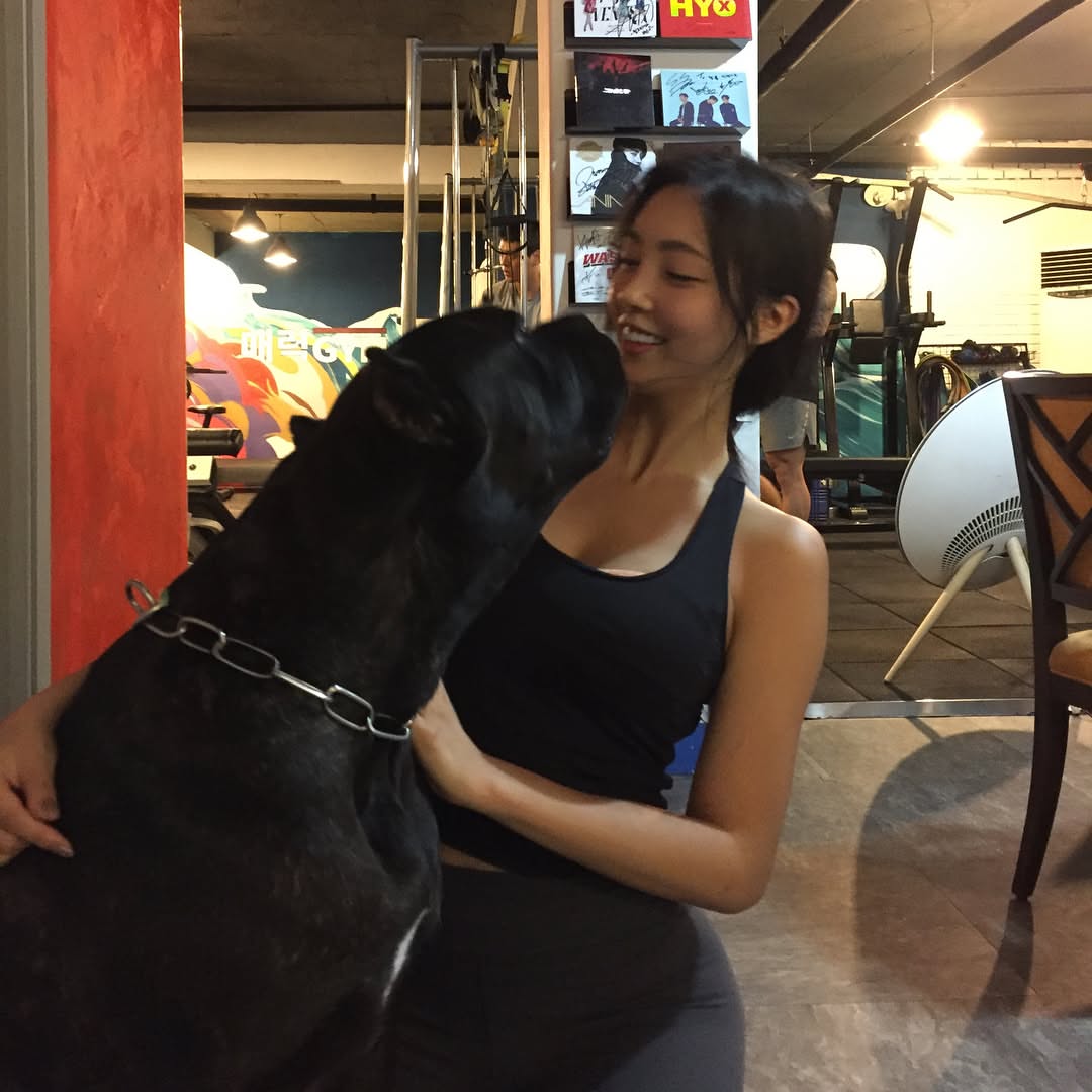 EmilyJuliet_12's tweet photo. This is my new workout buddy—his name is Tank https://t.co/RGQc1rwsFd