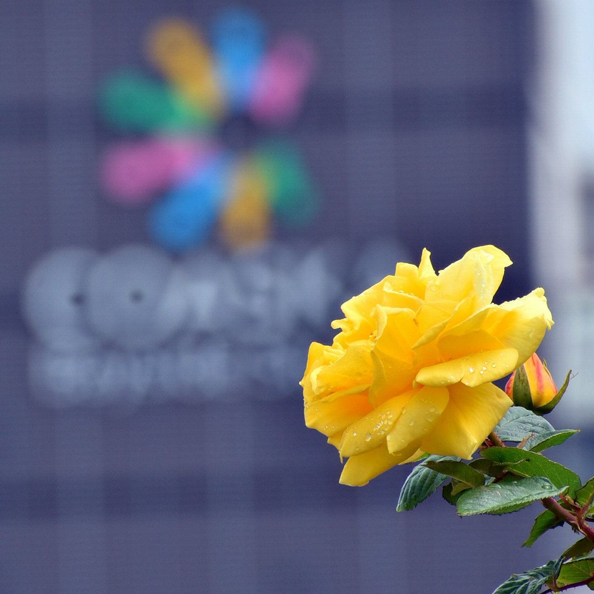 エアイ tweet media