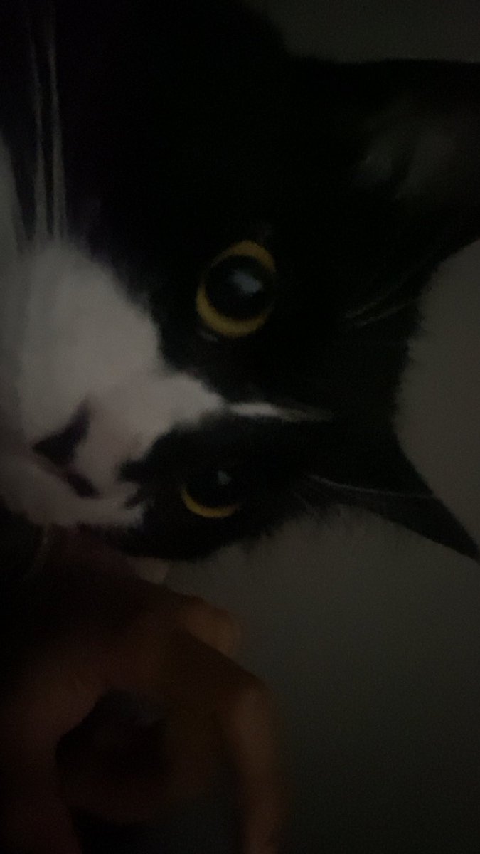 ΝΞΟ (Sifu) tweet media