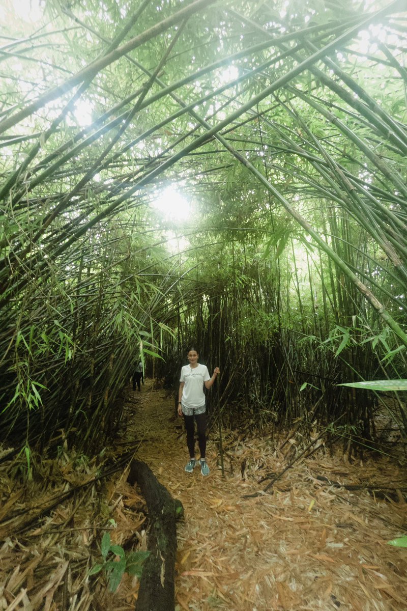 janiiiiinaaaaa's tweet photo. Yes, DOT needs a ‘face’ or ambassador, and it should be someone who is truly passionate about traveling, not just for likes or engagement… someone who genuinely promotes the culture of each place too.

Not biased but it’s a no-brainer that should be @JodiStaMaria 😮‍💨 https://t.co/Lxwz7LIGoG
