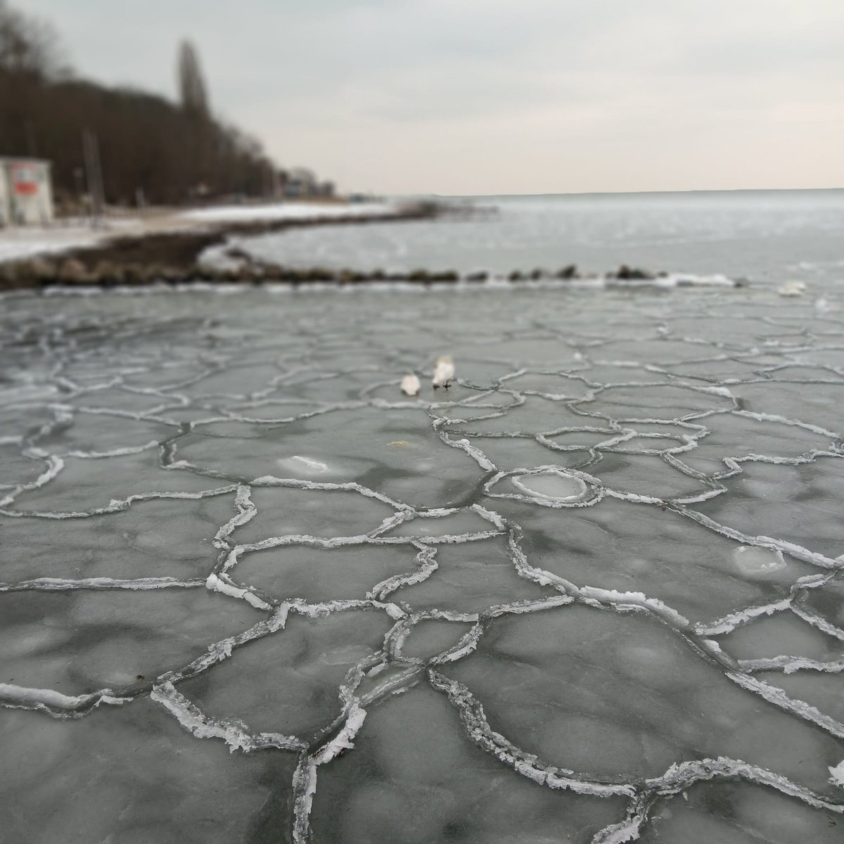 Ice in the Baltic Sea 🥶
