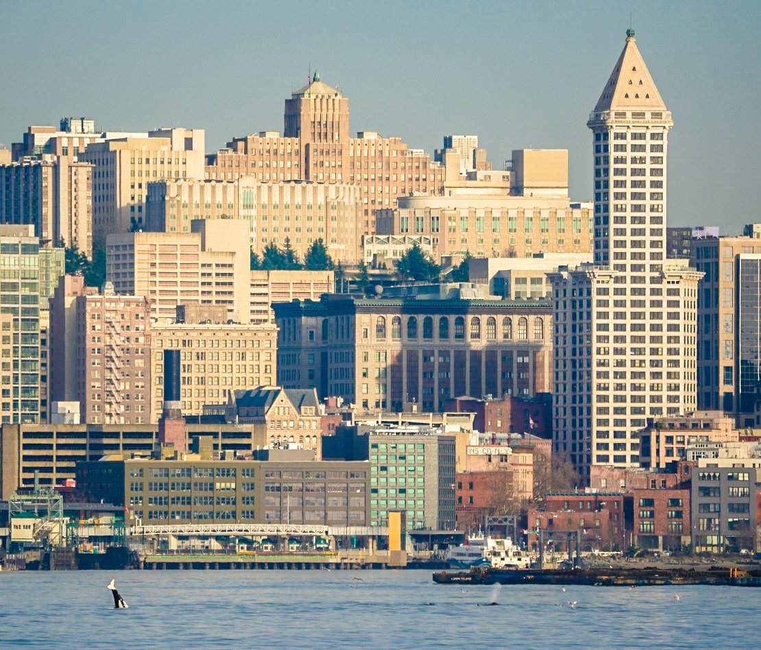 Michael Snyder tweet media