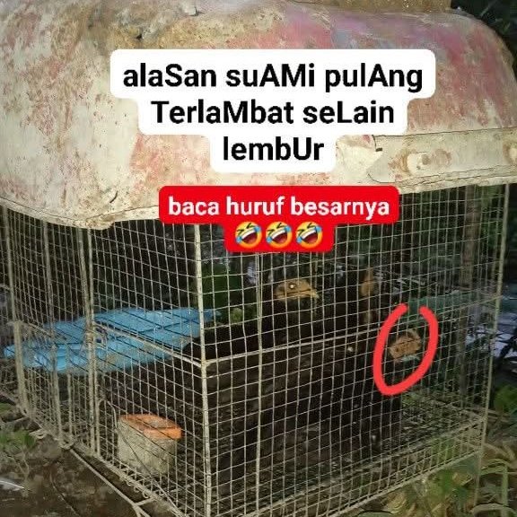 Ketawa itu GRATIS 🛩 tweet media