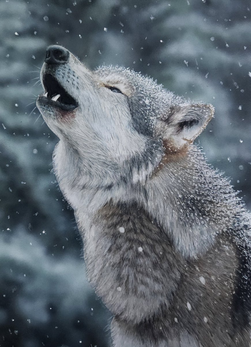 雪の中のオオカミのメイキング🐺 「雪をどうやって描くのか？」と