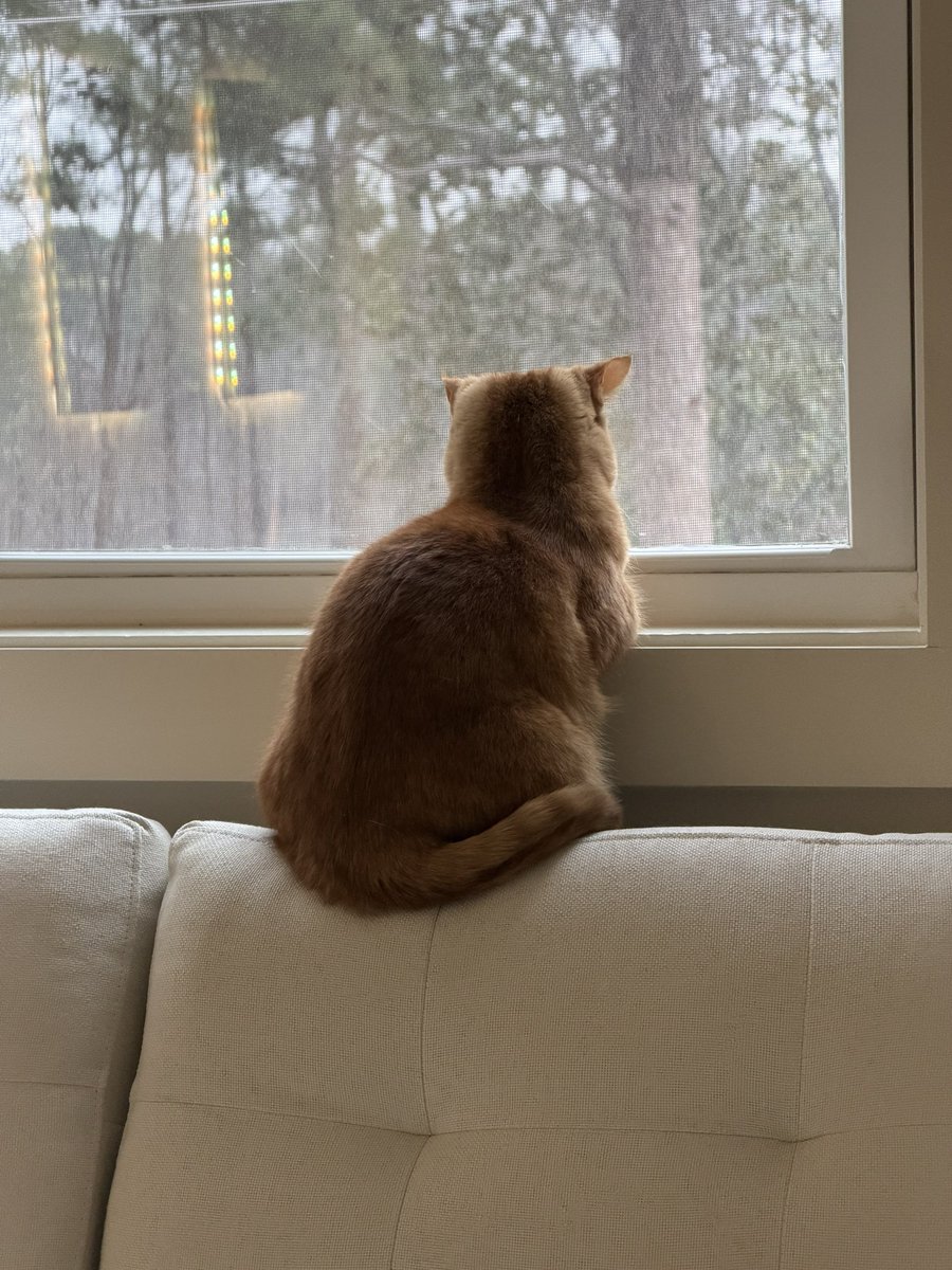 DansGaming tweet media