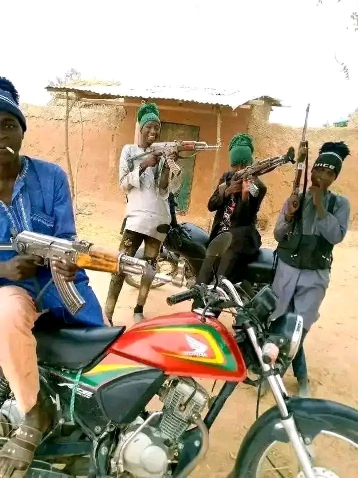 Clement2729's tweet photo. @Arewa_Source @Arewa_Source But this are your brothers in the bush killing Nigerian all in the name of one pedophile. https://t.co/z5qkpCYFW5
