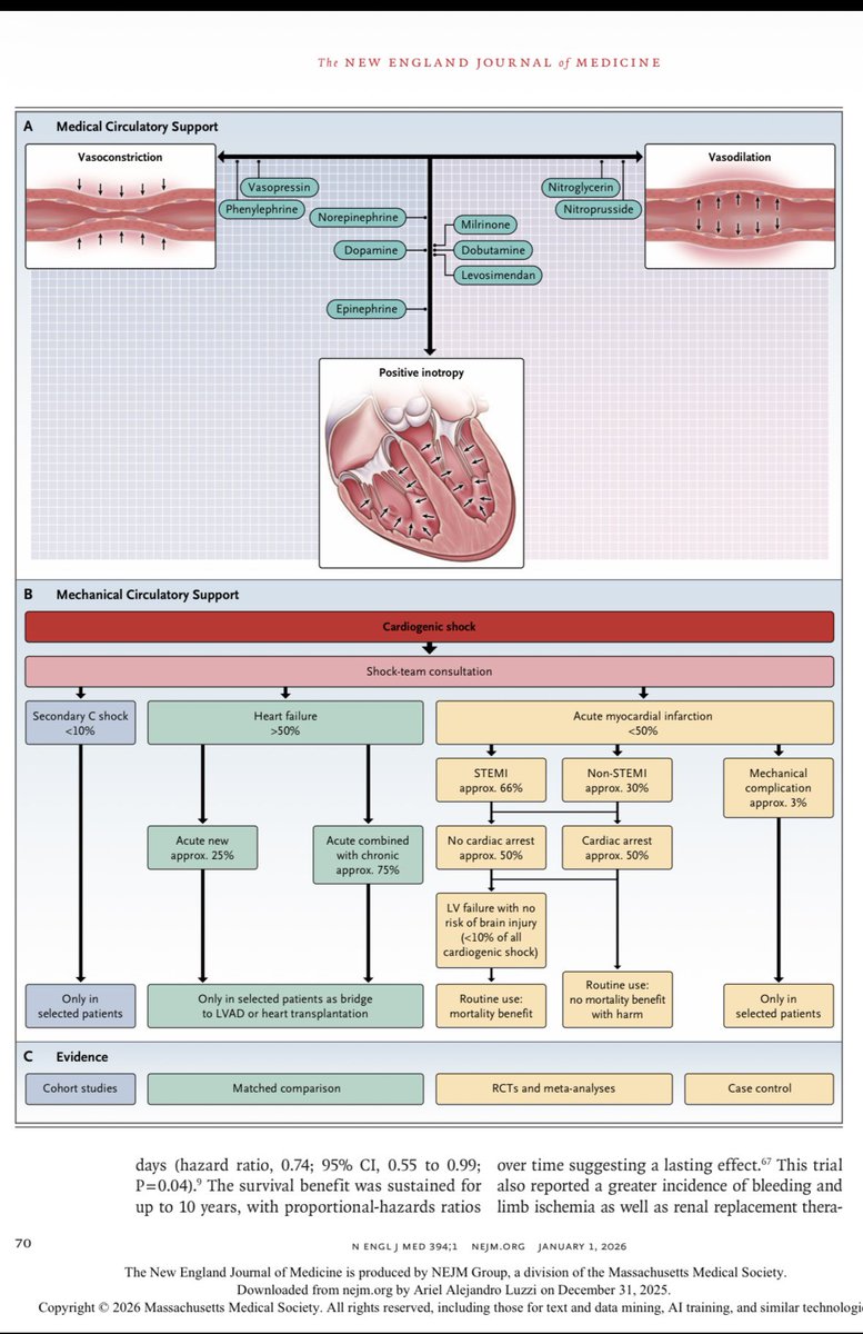 Choque Cardiogenico NEJM 2026
Nada nuevo bajo el sol !!!
✅ Solo dos estrategias disminuyen mortalidad (REPERFUSION TEMPRANA Y BOMBAS MICROAXIALES en algunos Px)
Importante:
✅Identificar el estado de choque (Clínico y bioquímico), Identificar la causa (IAM, IC, causa secundaria,