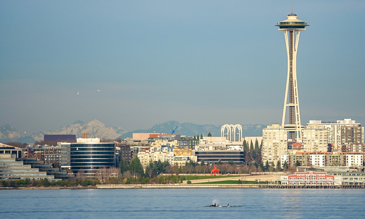 Michael Snyder tweet media