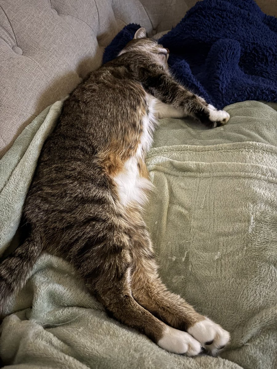 Lucy 🇪🇺💙 tweet media