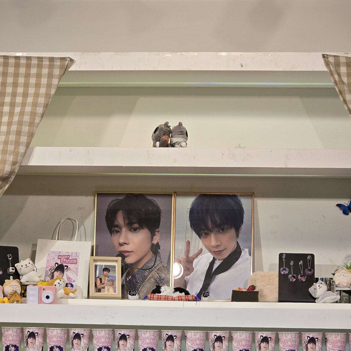 #HAPPY_텬냥데이
고양이 천국 그 자체인 생카🐾