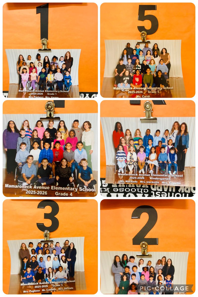 Rob Janowitz tweet media