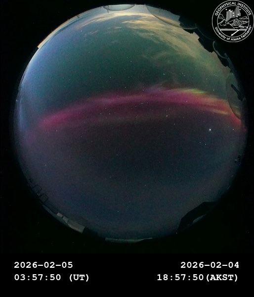 Vincent Ledvina tweet media