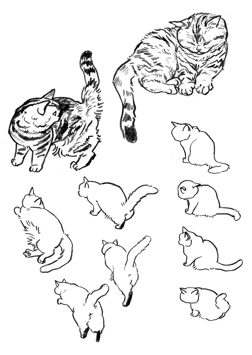 moving cat🐾
#sketch