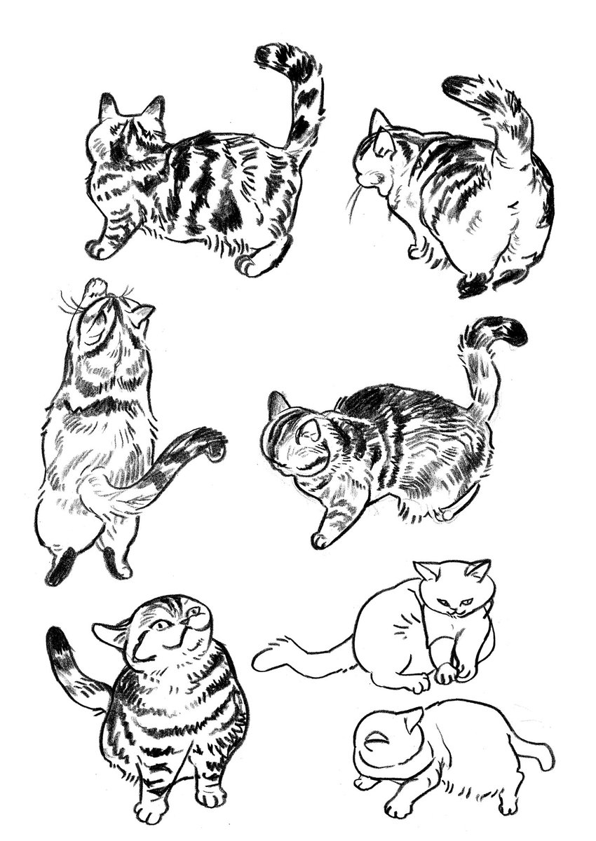 moving cat🐾
#sketch 