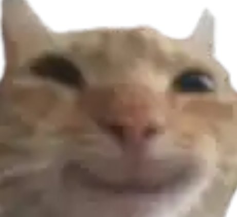 Mummified35969 tweet media