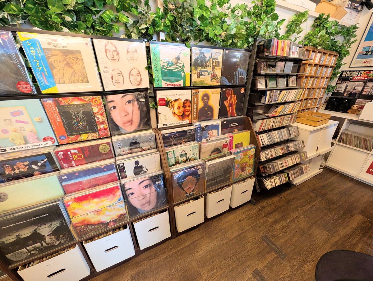 本日もオープン 19時までのんびり営業中です お待ちしております なお