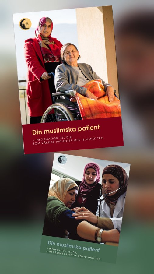 Den islamska smörgåstårtan och Agda som inte får säga nej.

Det pågår en tyst kulturkrock i den svenska välfärdens korridorer, och ingenstans är den tydligare än i mötet mellan den gamla svenska arbetarkvinnan och det nya multikulturella vårdmaskineriet.

Hon har arbetat och