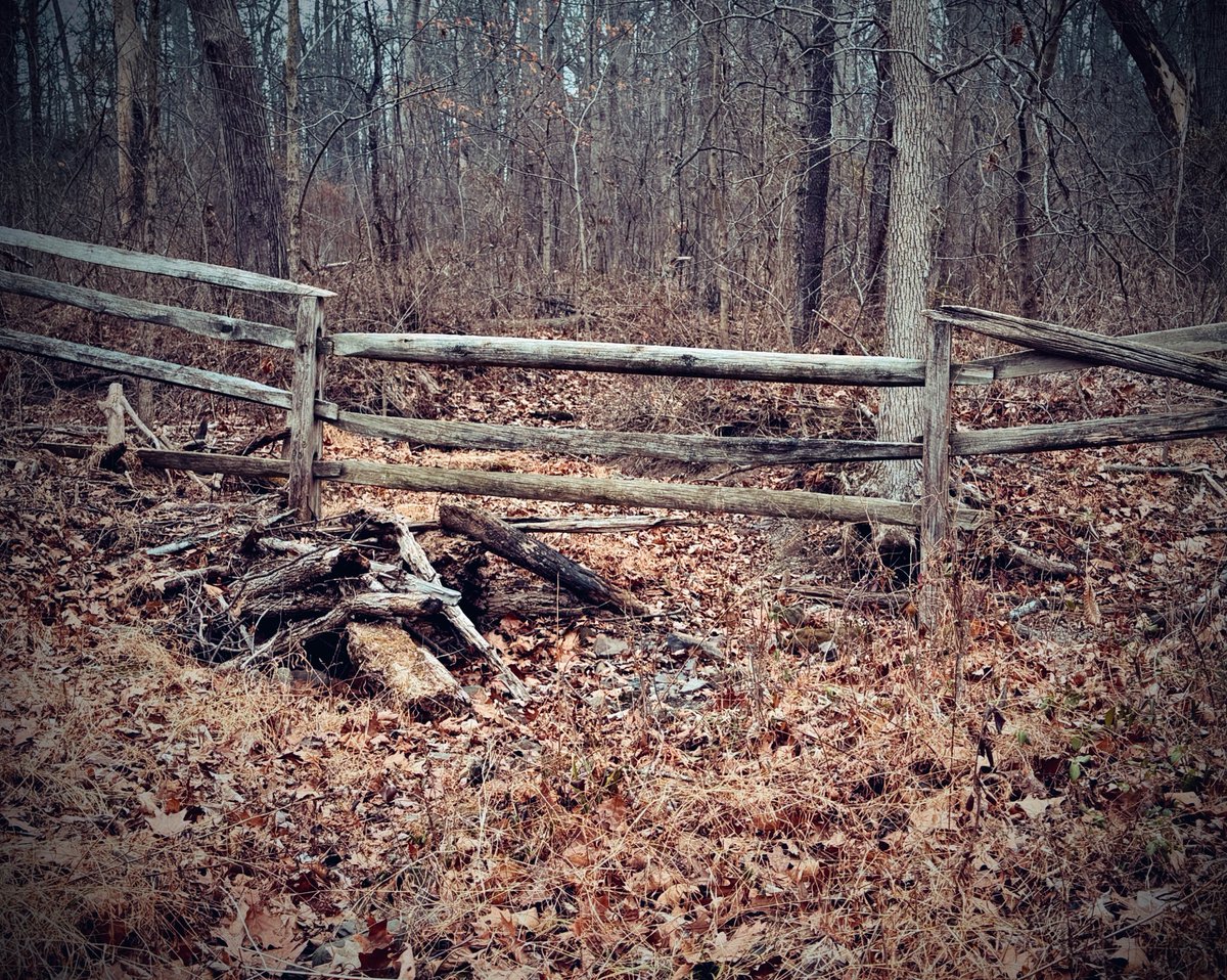 MelanieMoonlite's tweet photo. A Quote from a Tea Bag: โThe difference between a flower and a weed is a judgment.โ โ Unknown
Do you see beauty where others donโt? I do.
๐ The Gettysburg Battlefield, Pennsylvania
#Photography #Haunted #CivilWar #Woods #History #Fence #OldFence #Spooky #Winter #NatureLover
CC: @Oddwhims @HorrorsHearts79 @rj_dreamer