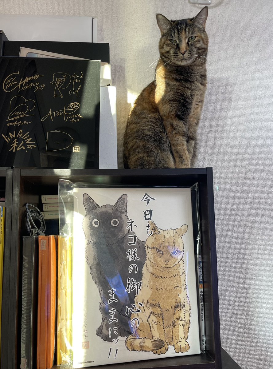 犬ッッッ (@frgunsou) / Posts / X