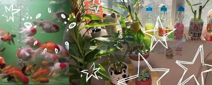 ‧₊☘️˖˚ 𝐋𝐞𝐚𝐟 !✩| MARCH 28TH tweet media