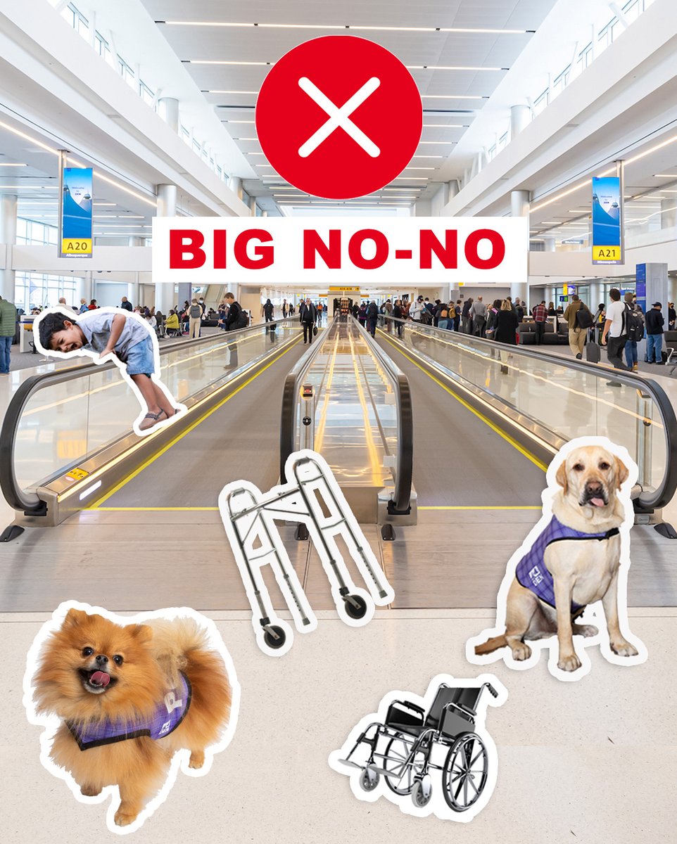 DENAirport's tweet image. Nope, nope, definitely nope. 🚫

PSA for moving walkways: No paws, wheelchairs or walkers allowed. And no rail acrobatics. 🤸

Thanks for keeping it safe!
#TravelTip