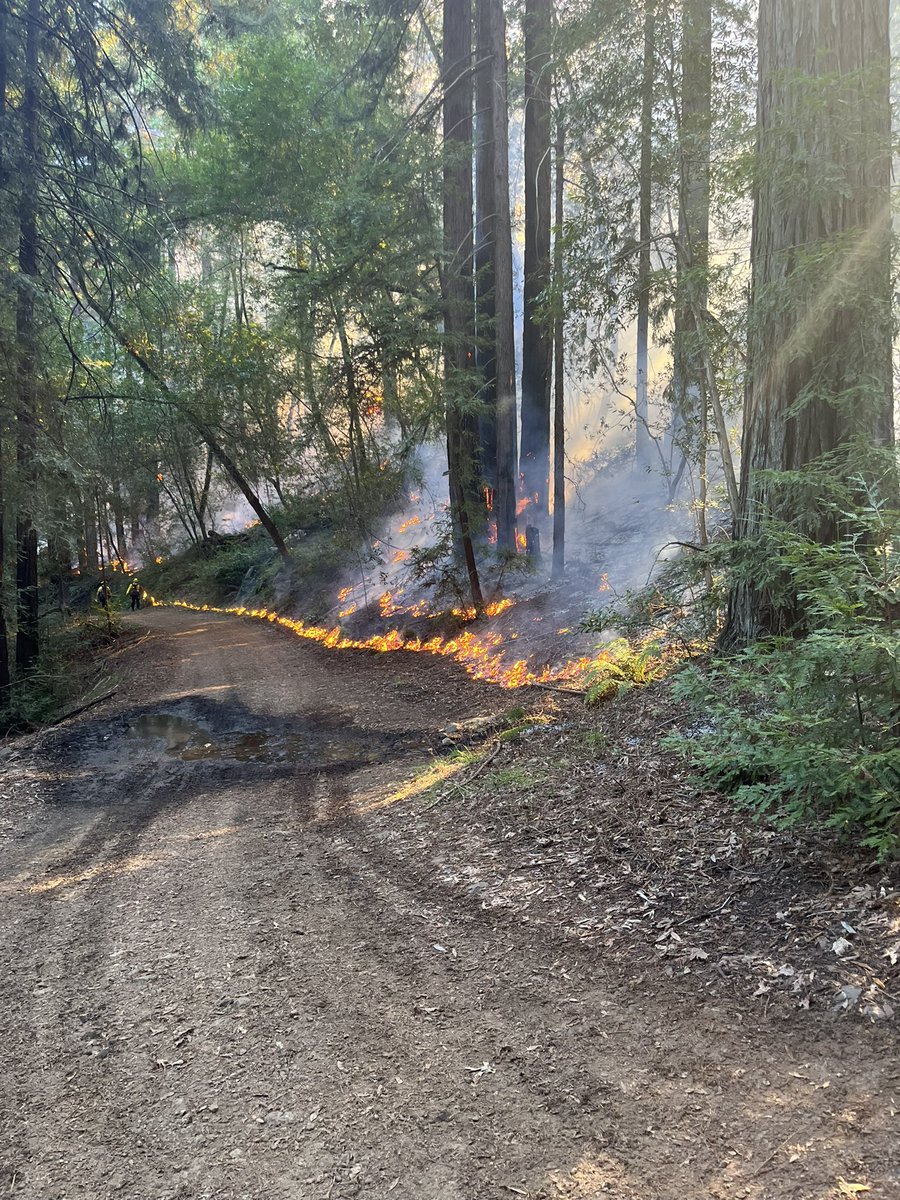 CALFIRELNU's tweet photo. On Wednesday, our Unit assisted @CAStateParks with a 12-acre prescribed burn at Jack London State Historic Park as part of their Wildfire and Forest Resilience Program. This project highlights the strong interagency collaboration across the region, where we’re accelerating vegetation management efforts that not only reduce wildfire risk, but also deliver long-term benefits across the landscape.