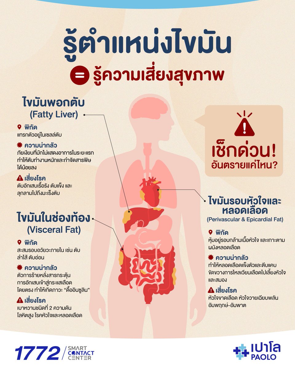 PaoloHospitalTH's tweet photo. ไขมันไม่ได้อันตรายแค่ปริมาณ แต่ตำแหน่งที่เกาะสำคัญกว่า โดยเฉพาะไขมันในช่องท้อง ไขมันพอกตับ และไขมันรอบหัวใจ
ซึ่งเป็นไขมันที่มองไม่เห็นจากภายนอก แต่ส่งผลต่อการทำงานของอวัยวะสำคัญ เพิ่มความเสี่ยงเบาหวาน ความดันโลหิตสูง และโรคหัวใจในระยะยาว

การดูแลสุขภาพจึงไม่ใช่แค่ลดน้ำหนัก แต่คือการปรับพฤติกรรมในชีวิตประจำวัน
ขยับร่างกายสม่ำเสมอ และพักผ่อนให้เพียงพอ เพื่อป้องกันไขมันเกาะผิดที่ และดูแลสุขภาพให้แข็งแรงอย่างยั่งยืน