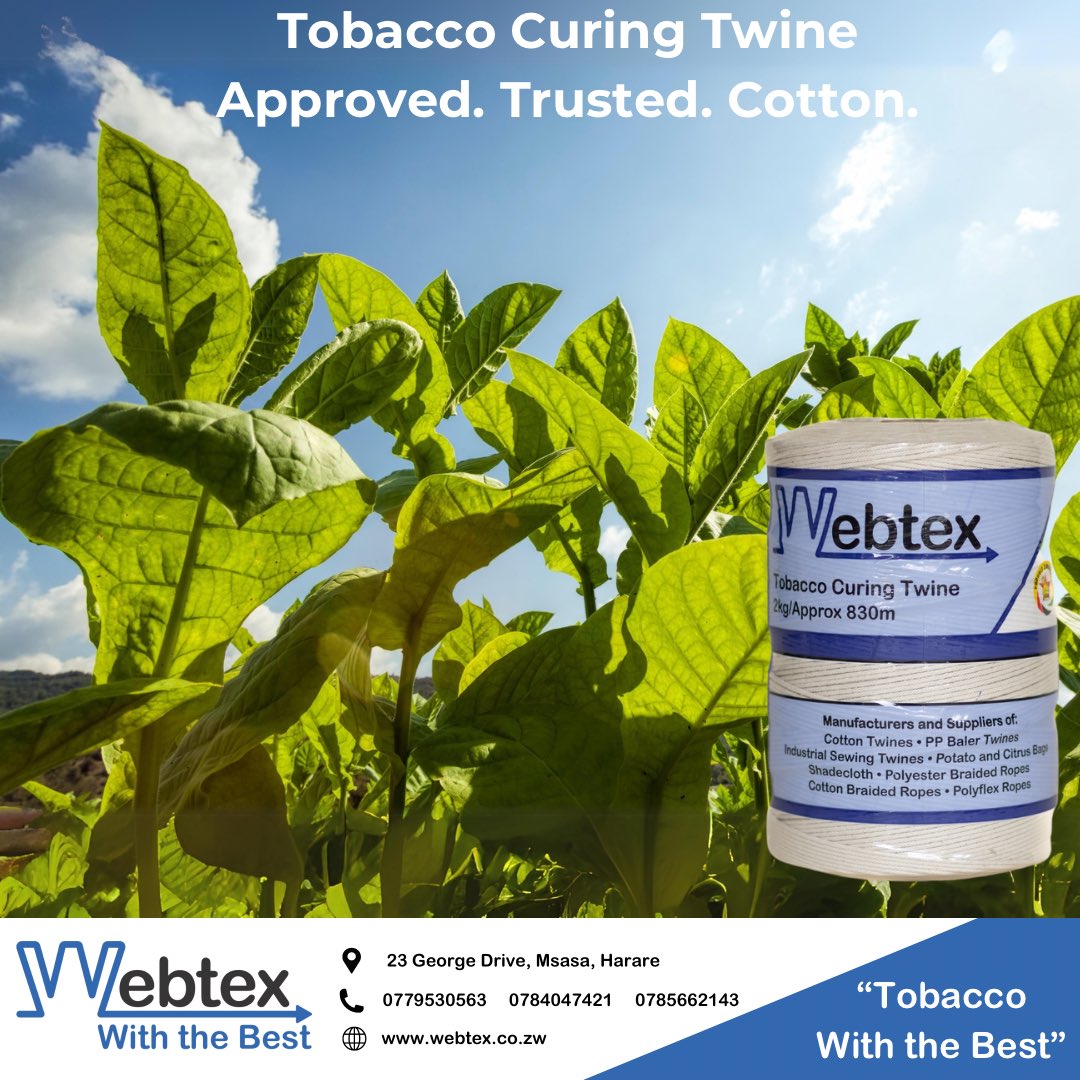 WebtexZw's tweet photo. 100% cotton twine used during tobacco curing and bale sewing. Easy to handle. Industry-trusted quality.
#WebtexZimbabwe #WithTheBest #Tobacco #TextilesZimbabwe https://t.co/Z22Ln3i7iv