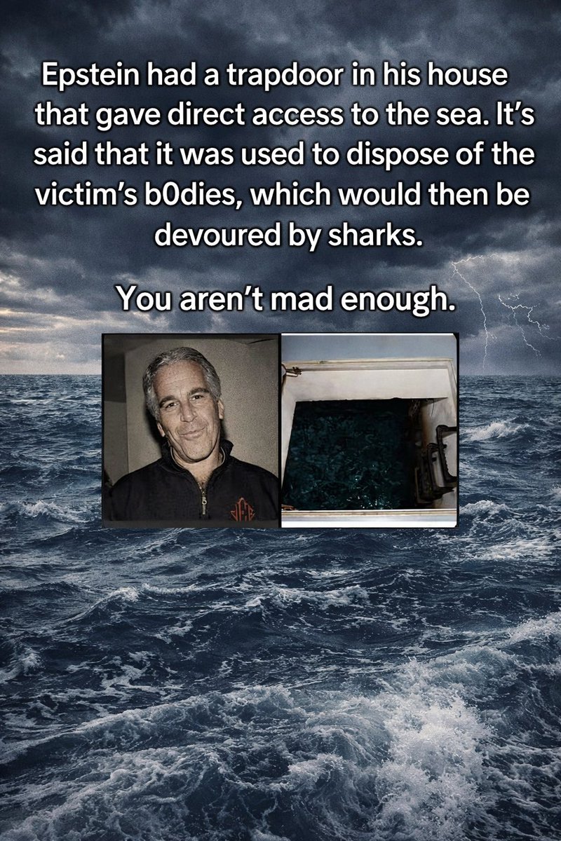 Chris🙏🏼🦆 tweet media