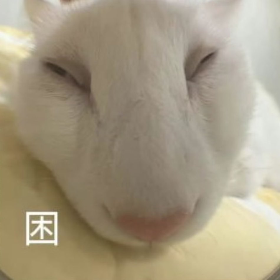 我被印度女折磨得好惨。我上学就是一场悲剧。