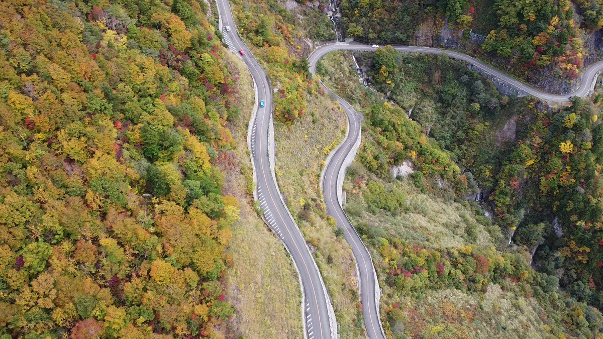 白山白川郷ホワイトロード【公式】 tweet media