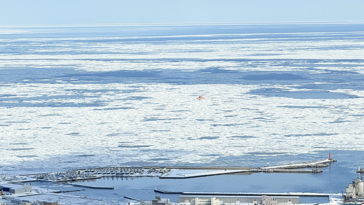 今日の流氷です。