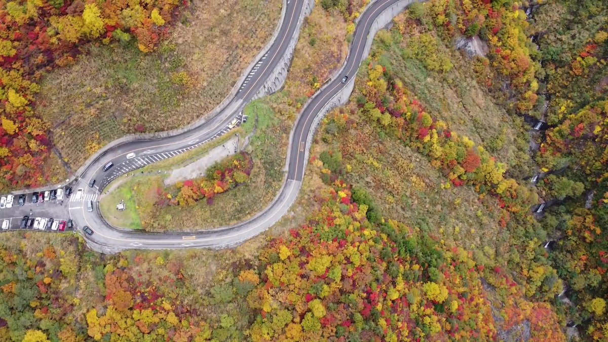 白山白川郷ホワイトロード【公式】 tweet media